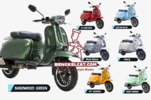 Types of Royal Alloy Scooters